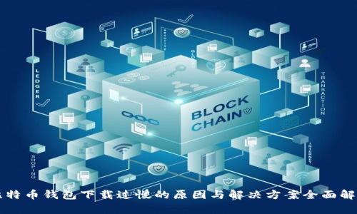 比特币钱包下载过慢的原因与解决方案全面解析