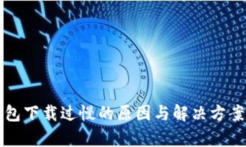 比特币钱包下载过慢的原因与解决方案全面解析