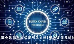  中本聪小狐钱包忘记密码