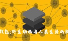 狐狸抢钱包：野生动物与