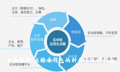 全面解析：比特币钱包的种类与选择指南