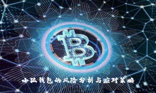 小狐钱包的风险分析与应对策略