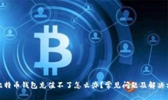 : 比特币钱包充值不了怎么