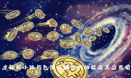 深度解析小狐钱包里的测试网功能及其应用前景