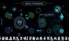 比特币能放在钱包里吗？