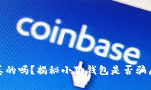 小狐钱包是真的吗？揭秘小狐钱包是否骗局的真实情况