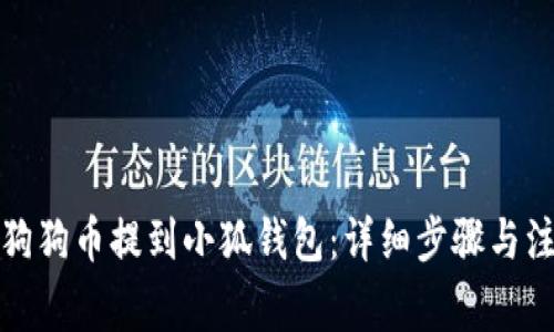 如何将狗狗币提到小狐钱包：详细步骤与注意事项