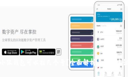 小狐钱包可以挂几个号？全面解析与使用建议