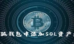 如何在小狐钱包中添加SOL资产：详细指南