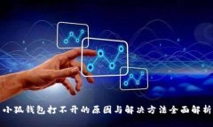 小狐钱包打不开的原因与