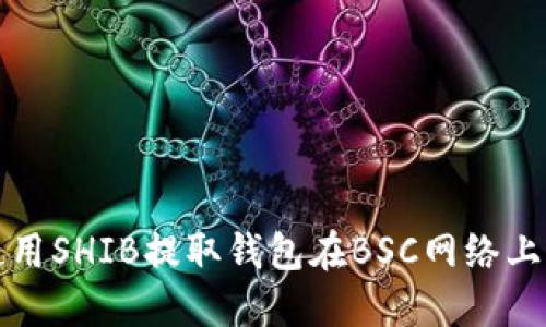 如何安全使用SHIB提取钱包在BSC网络上的操作指南