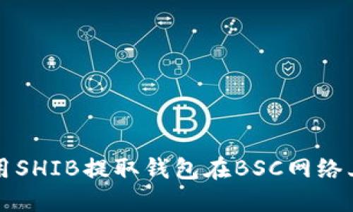 如何安全使用SHIB提取钱包在BSC网络上的操作指南