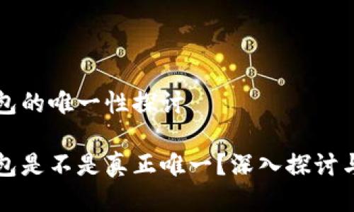 比特币钱包的唯一性探讨

比特币钱包是不是真正唯一？深入探讨与实用指南