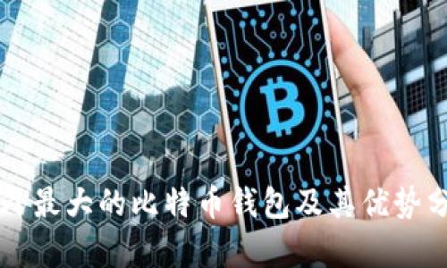 国外最大的比特币钱包及其优势分析